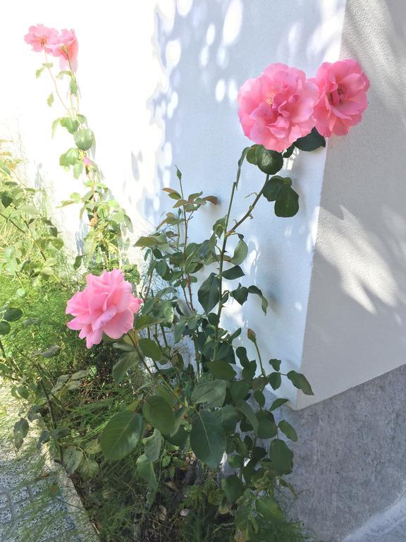 Casinha Da Vila อาร์กอสเดวัลเดเวซ ภายนอก รูปภาพ